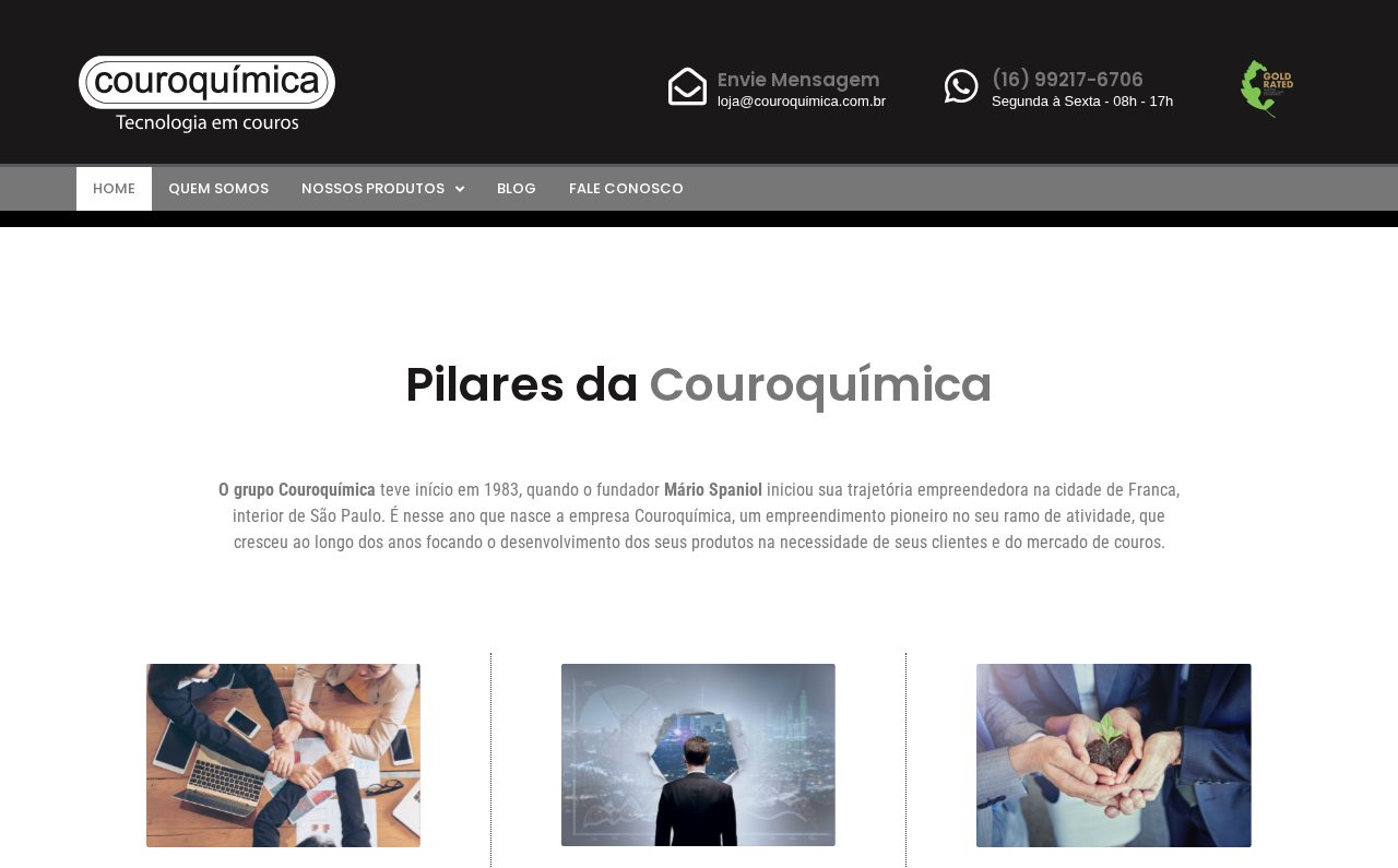 Couroquímica — Home desktop